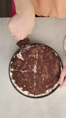 Top view of a person using a spatula to take a delicious slice of tiramisu dusted cake and placing it on a colorful plate