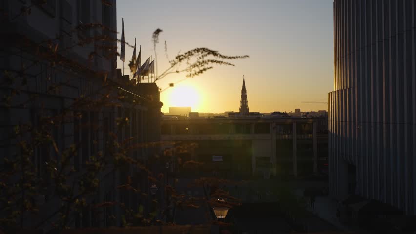 Brussels Town Hall at Sunset