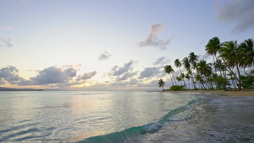 Summer view of the palm-fringed beach in the evening. Relaxing on a sandy beach with palm trees against the backdrop of a sunset. Summer sunset on a paradise island in the Atlantic Ocean.