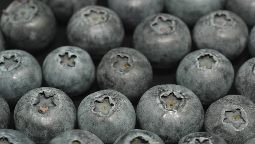 Fresh ripe blueberries fill the frame in a detailed macro close up shot, useful as a healthy food or blueberry texture background.