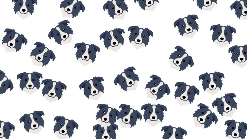 Repeated cartoon border collie dog head illustrations ideal for petrelated designs, childrens products, stationery, and animalthemed projects. Great for pattern design.	
