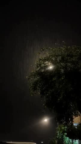 Tree, sky, moon, steeet-light, night