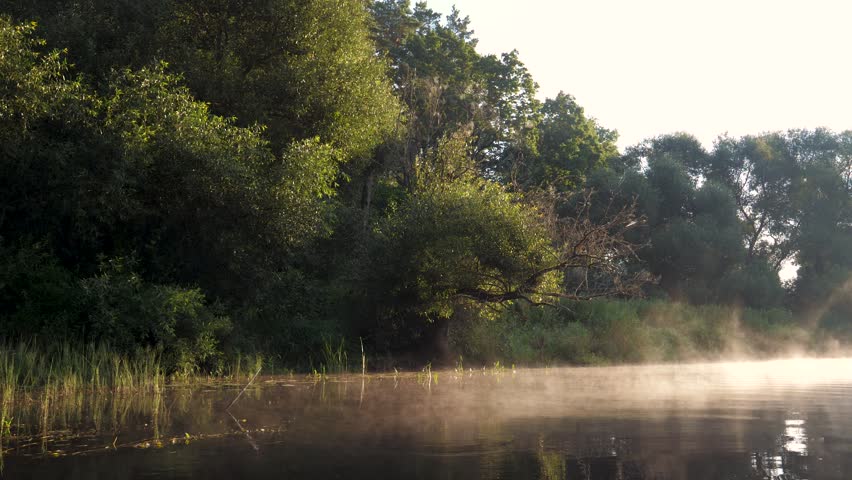 Beautiful morning landscape with mist gently rising from the surface of a tranquil river, its banks covered in lush green forest trees illuminated by the early morning sun. Aerial over river surface