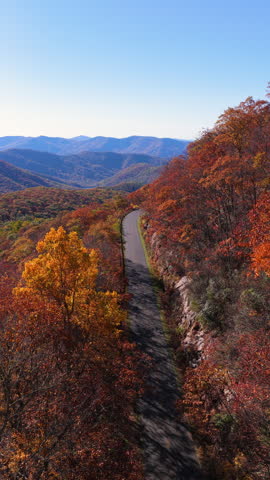 Cars driving on Blue Ridge Parkway in autumn season. Scenic route between majestic mountain hills covered in golden and scarlet leaves.