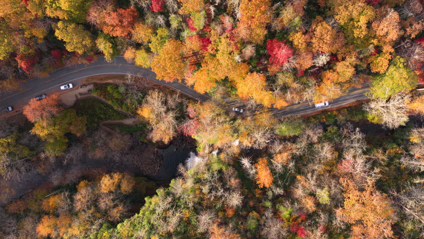 Scenic roadway with moving traffic winds through vibrant autumn forest beside waterfall. Looking Glass Falls captured from above in Pisgah National Forest.