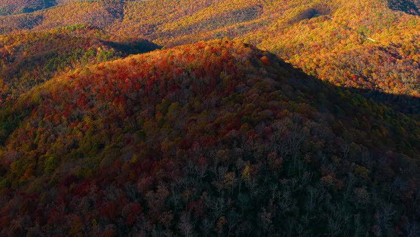 Vibrant sunset in fall season forest on Appalachian mountain range. Golden treetops and colorful nature landscape.