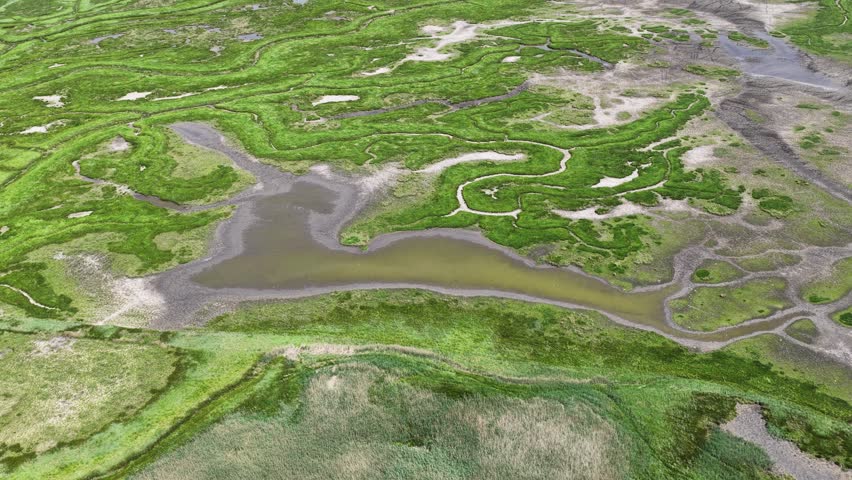 Aerial view of tidal creek and salt marsh landscape