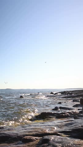 Vertical screen seagull flying above a rocky shoreline with sea waves crashing against the coast capturing graceful bird flight and the beauty of the coastal landscape