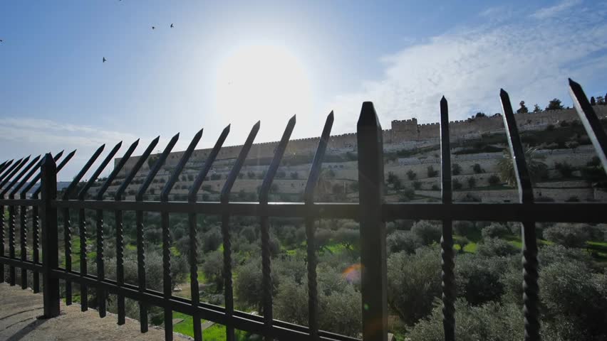 Exterior of the ancient city of Israel, Lion