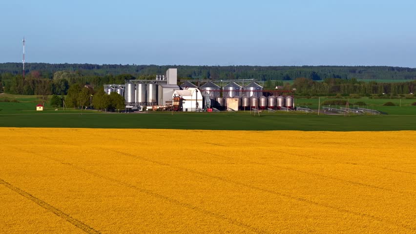 Aerial view of industrial grain silos surrounded by vibrant yellow rapeseed fields and green farmland in Riga, Latvia.