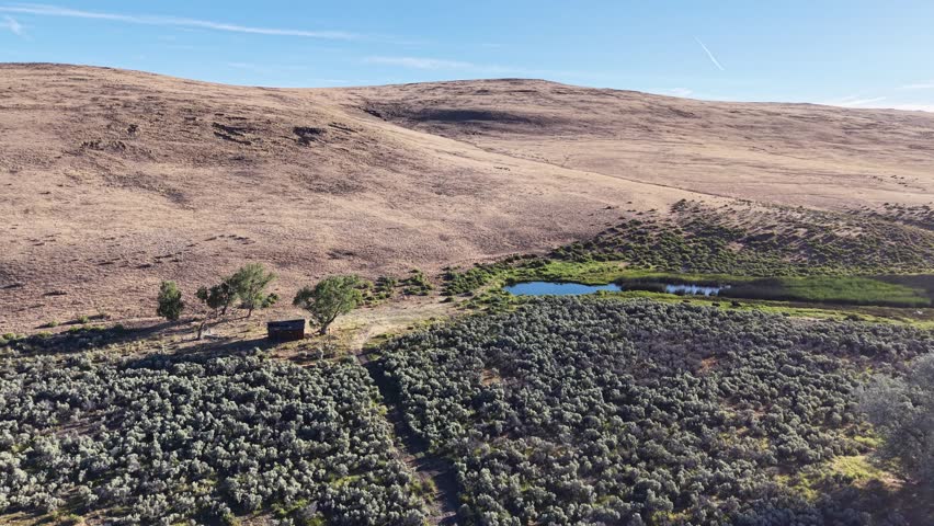 Aerial drone flyover of an abandoned homestead cabin and livestock watering pond in the Smoke Creek Desert, Lassen County, California.