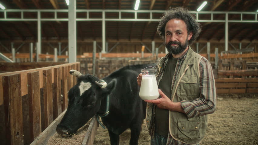 Portrait of smiling bearded male farmer holding glass pitcher filled with fresh raw milk, standing next to black dairy cow inside rustic wooden barn