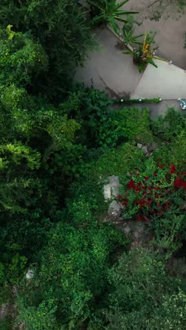 Top down reveal shot of La Gloria Tolantongo thermal river with vibrant turquoise hot spring waters flowing through the scenic canyon near Grutas de Tolantongo in Hidalgo, Mexico