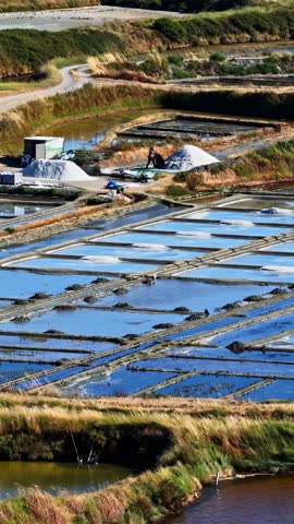 Aerial view of salt marshes with piles of harvested salt and a worker tending to the pans in France.