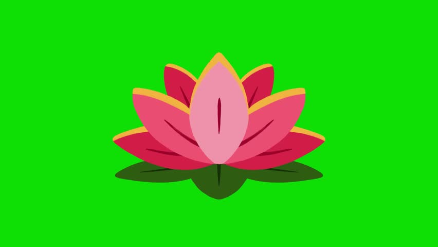 Animated character of a pink lotus water lily flower on a green background.