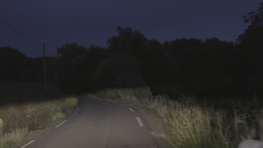 A point of view shot from a vehicle driving along a dark winding country road at night, with headlights illuminating the asphalt and grassy shoulders under a twilight sky