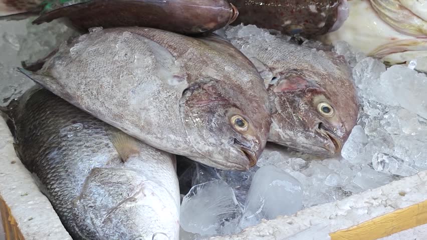 Assorted fresh seafood such as sea bass, grouper fish and black pomfret fish are aligned on ice, for sale at fish market place. Top view with camera panning footage.
