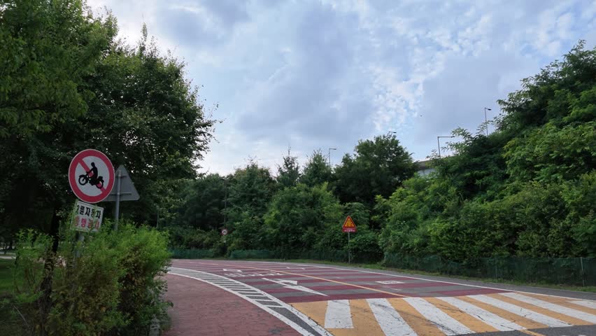 Cyclist riding on a curved road surrounded by trees