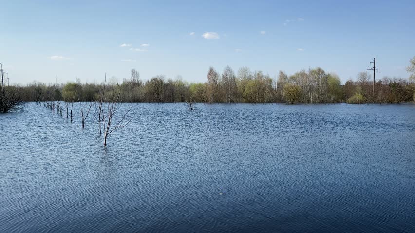 Flooded area with trees in spring