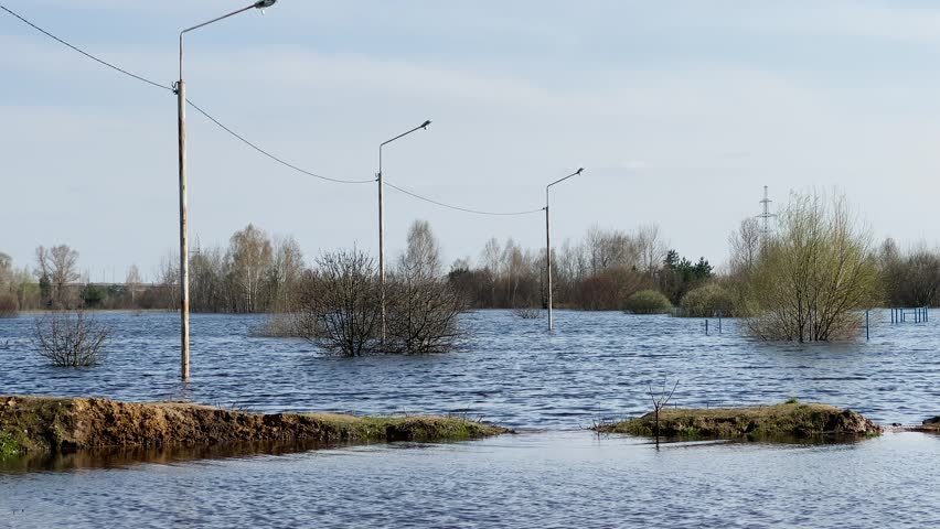 Flooded area with trees in spring