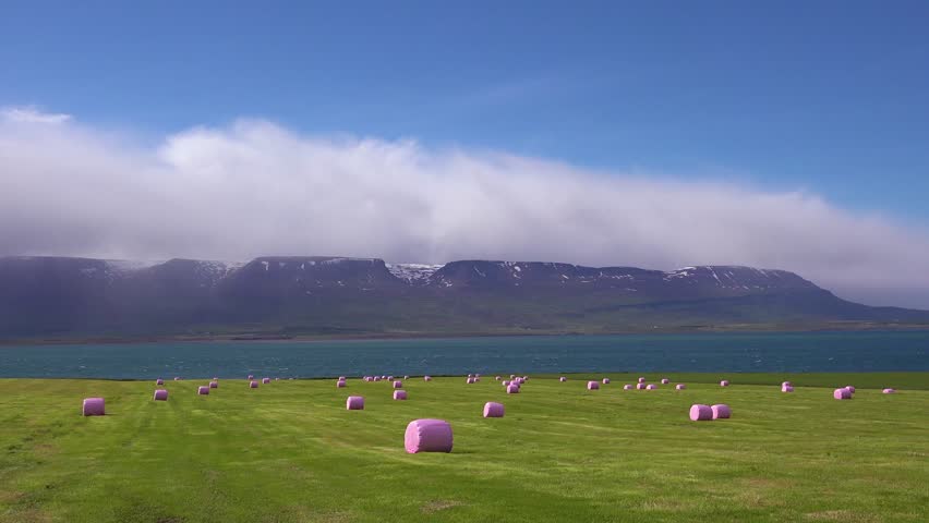 Dynamic footage of pink hay bales, green field, and mountains.