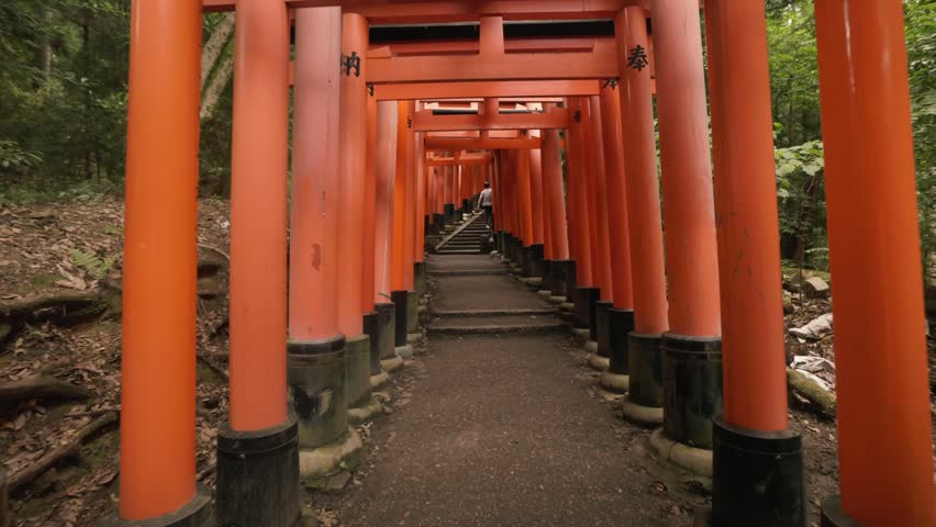 A View of the Iconic Vermilion Torii Gates at Fushimi Inari Taisha Shrine in Kyoto, Japan - Dolly Shot