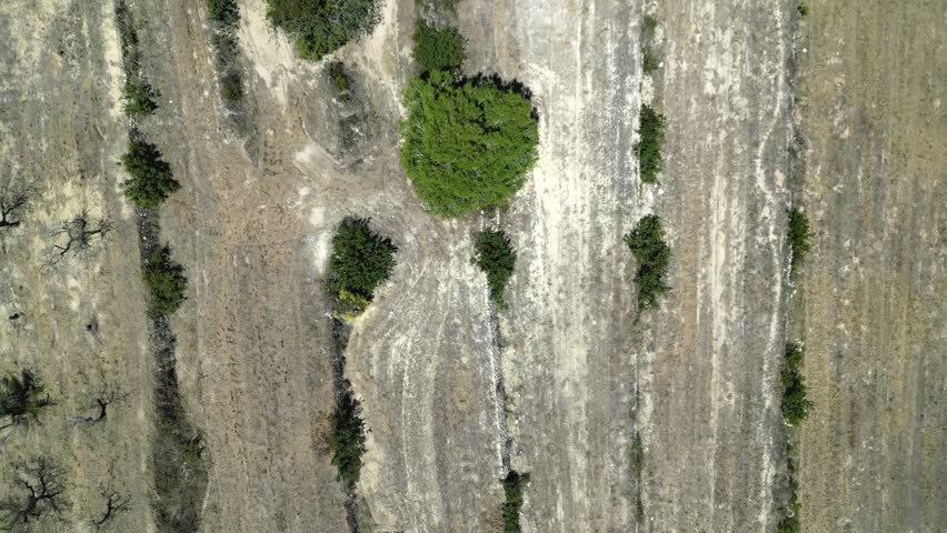 Aerial view of dry rocky terrain with scattered green trees and shrubs in Moraira, Valencian Community, Spain.