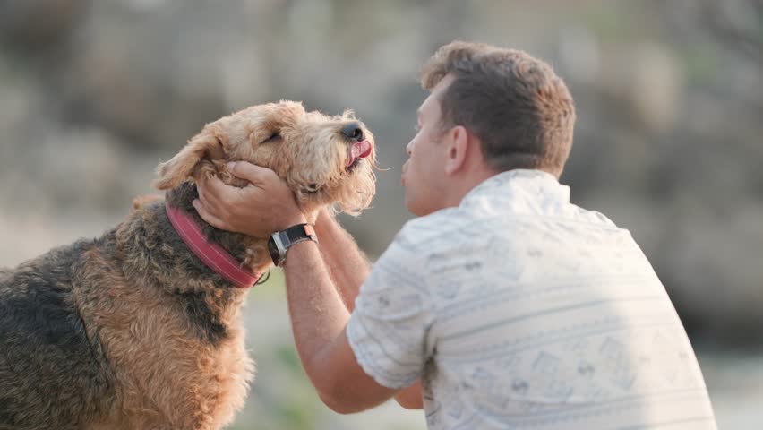 Man interacts with his dog at the beach during sunset