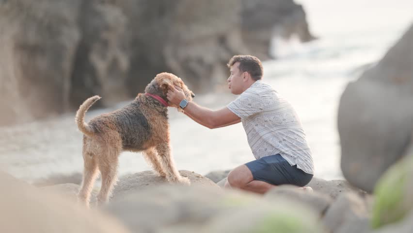 Man plays with dog on the beach during sunset near rocks on a warm evening