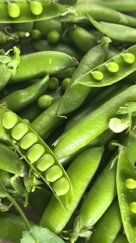 Fresh green peas and pods 