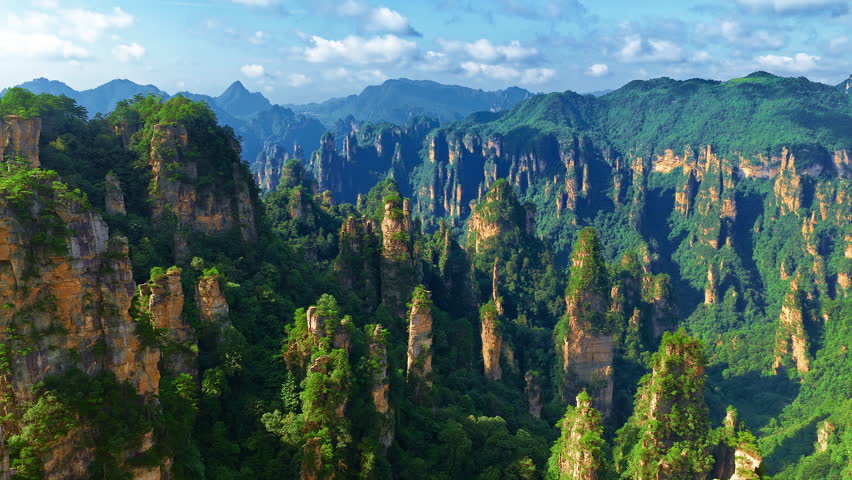 Towering sandstone pillars covered in green vegetation at Zhangjiajie National Forest Park, Hunan, China.