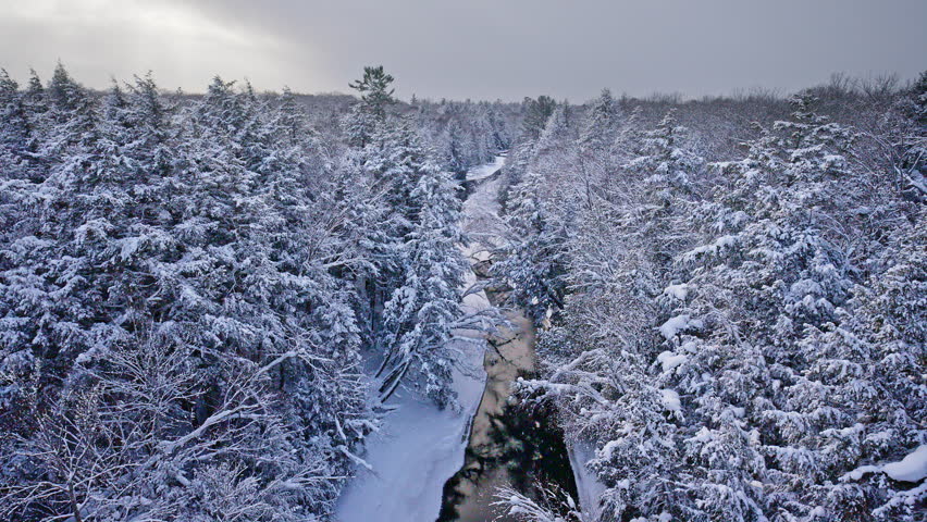 Dreamy footage of snow covered winter landscape in northern Michigan with river running through forest.