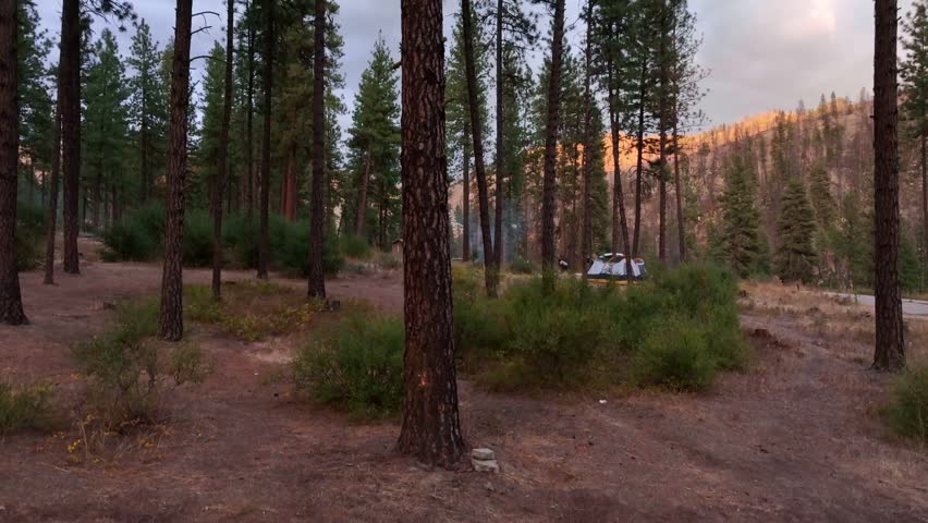 Aerial view of a tent nestled among tall pine trees in a forest clearing near Banks Lowman Road in Garden Valley, Idaho, United States.