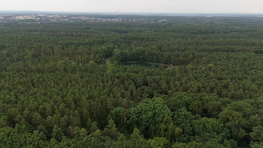 High aerial view of small forest lakes scattered across the dense woodlands of Upper Lusatia near Weisswasser