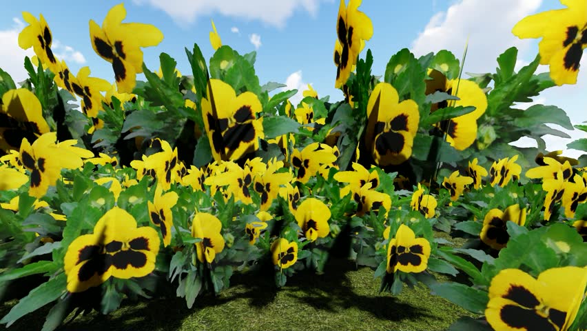 Most beautiful yellow and black color flower 