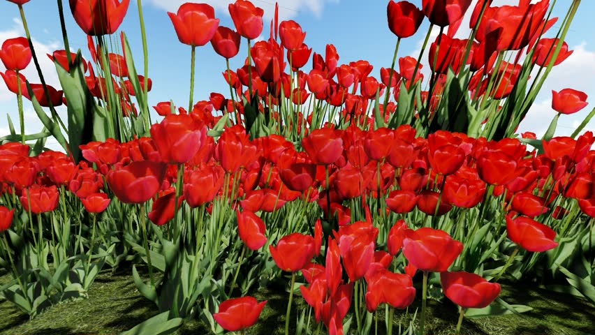 The beautiful red color flower 