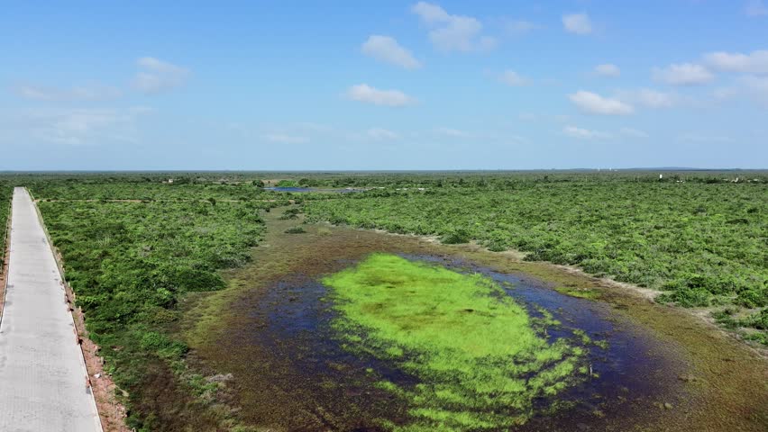 Aerial View of Small Wetland Pond Beside a Rural Road