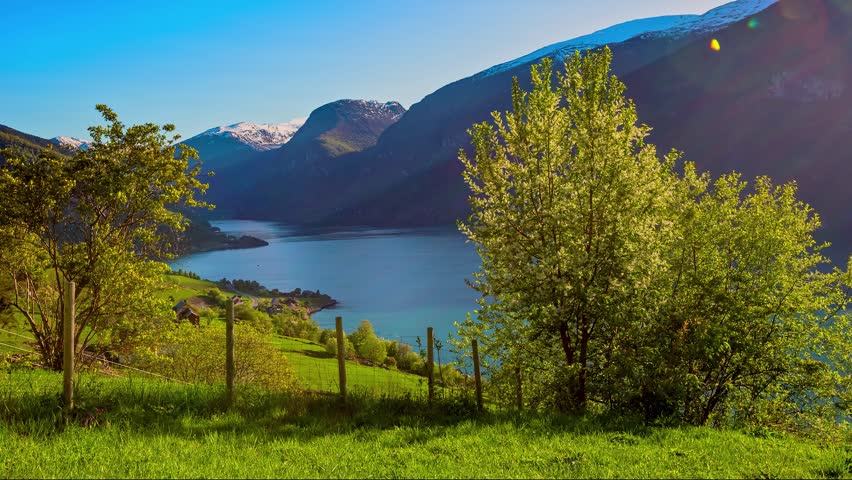 View of the scenic Flam fjord landscape with lush green meadows, trees, and snow-capped mountains under a clear sky in Flam, Vestland, Norway.