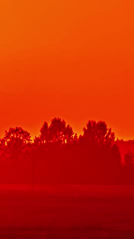 View of trees silhouetted against a vibrant red sunset in the countryside of Latvia.