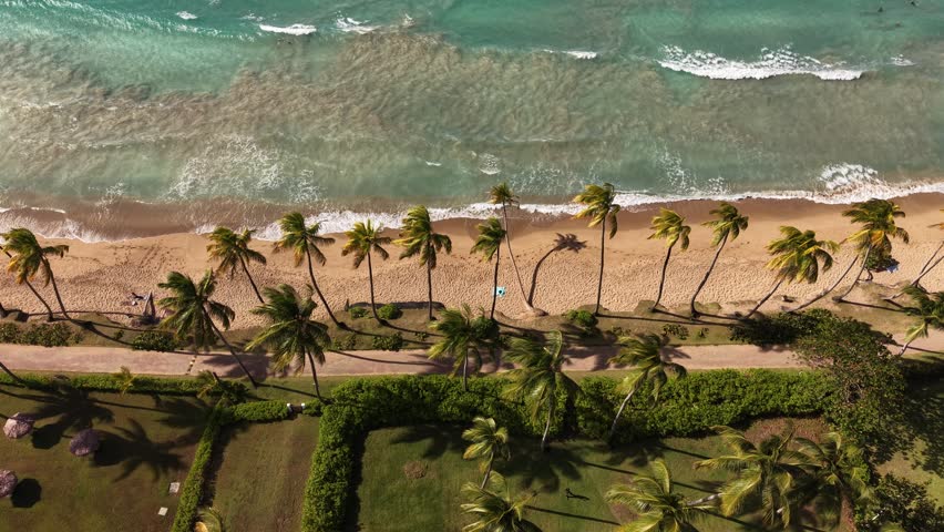 Aerial drone footage of Bonita Beach in Las Terrenas with palm-lined sand, turquoise sea, white waves, beachgoers and bright Caribbean vacation scenery.