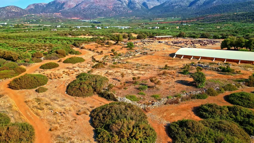 Aerial view of the ancient archaeological site in Crete with protective canopy structures, stone ruins, and surrounding olive groves set against a mountainous landscape in Greece.