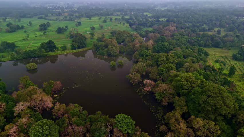Aerial view of a lake surrounded by lush green forests and fields in Sri Lanka.