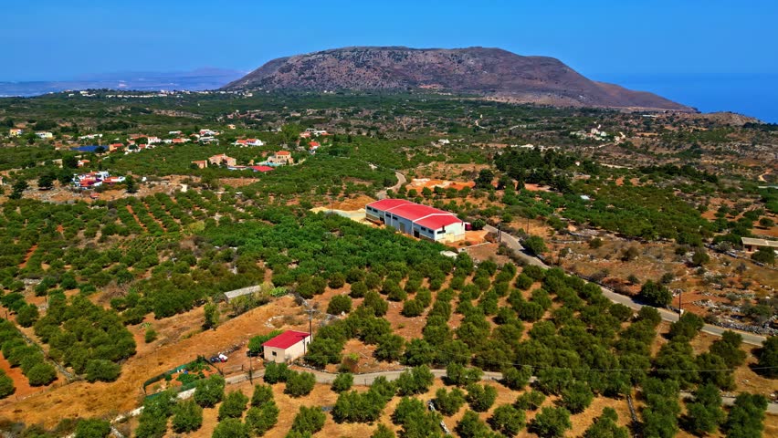 Aerial view of olive groves and red-roofed buildings nestled in the rolling landscape of Crete, Greece.