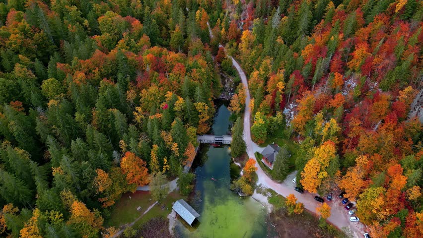 Aerial view of Attersee surrounded by vibrant autumn forest with a winding road and small building in Vocklabruck District, Upper Austria, Austria.