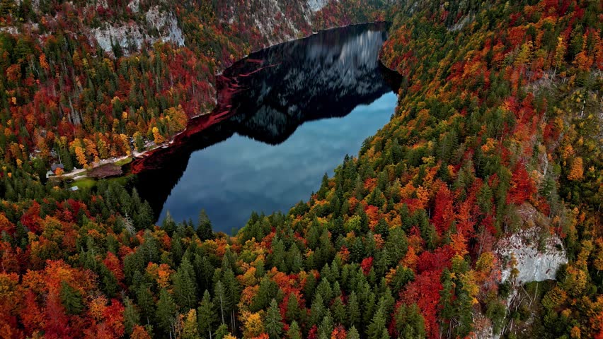 Aerial view of Attersee surrounded by vibrant autumn forests and steep mountain slopes in Vocklabruck District, Upper Austria, Austria.