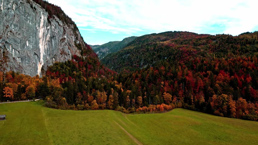 Aerial view of Attersee landscape featuring a towering cliff face and vibrant autumn forest bordering a lush green meadow in Vocklabruck District, Upper Austria, Austria.