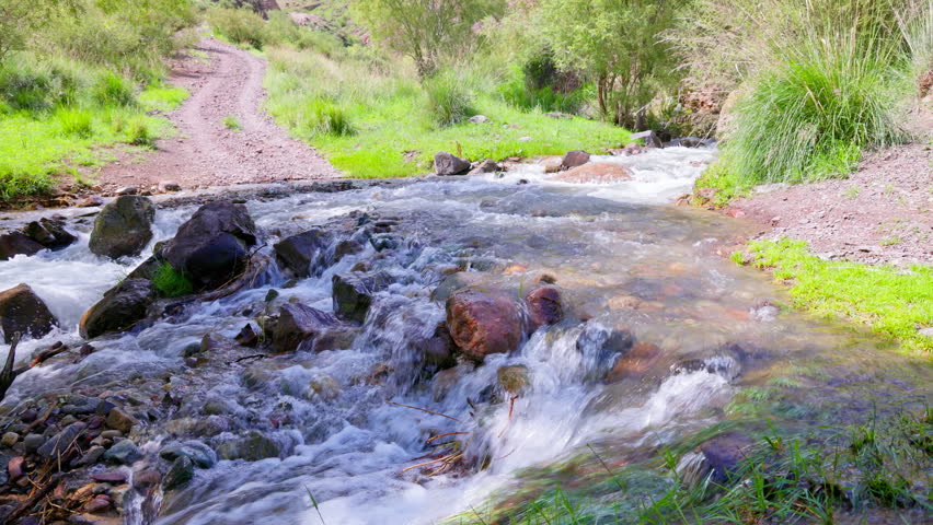 Fast-flowing mountain stream crossing rushes over rocks creating white rapids in a green Kyrgyz valley. Cold water flows across a dirt road among grassy banks and vegetation under bright daylight.