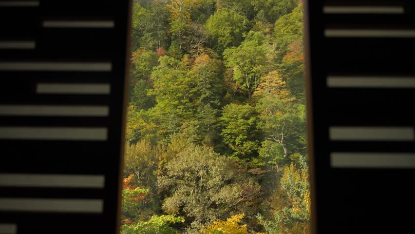 View from traditional japanese ryokan hotel room window to autumn season forest. Looking outside at beautiful and colorful trees right outside authentic onsen spa resort in Hokkaido, Japan during trip
