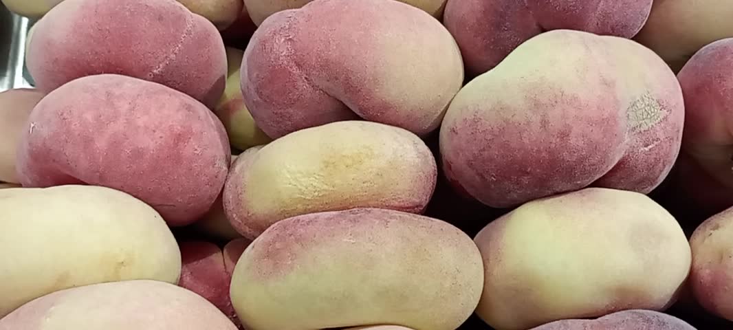 Close up footage of fresh donut peaches, also known as flat peaches or Saturn peaches. Ripe organic fruit with pink and yellow skin piled together. Healthy fresh produce at fruit market, ready to eat summer fruit.