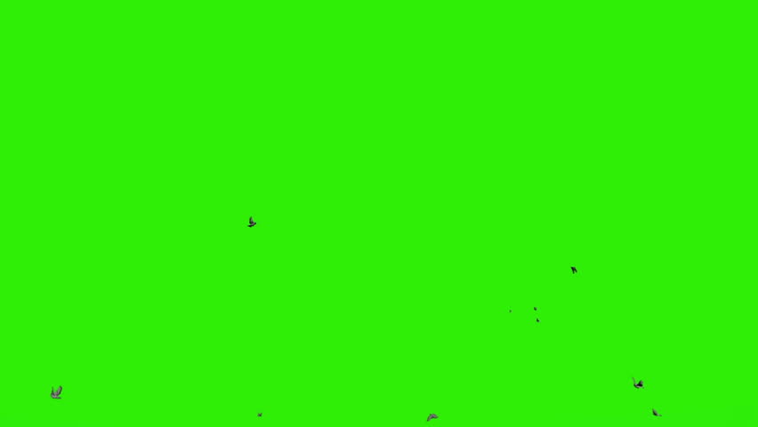 Westcott X Drop Background 5 X 7 Green Screen 579 B H Photo